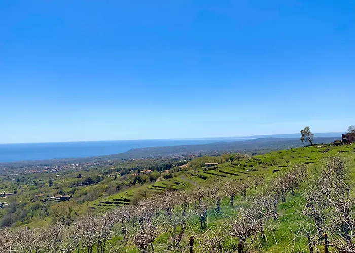 Tenuta Kiwi Dell\'Etna