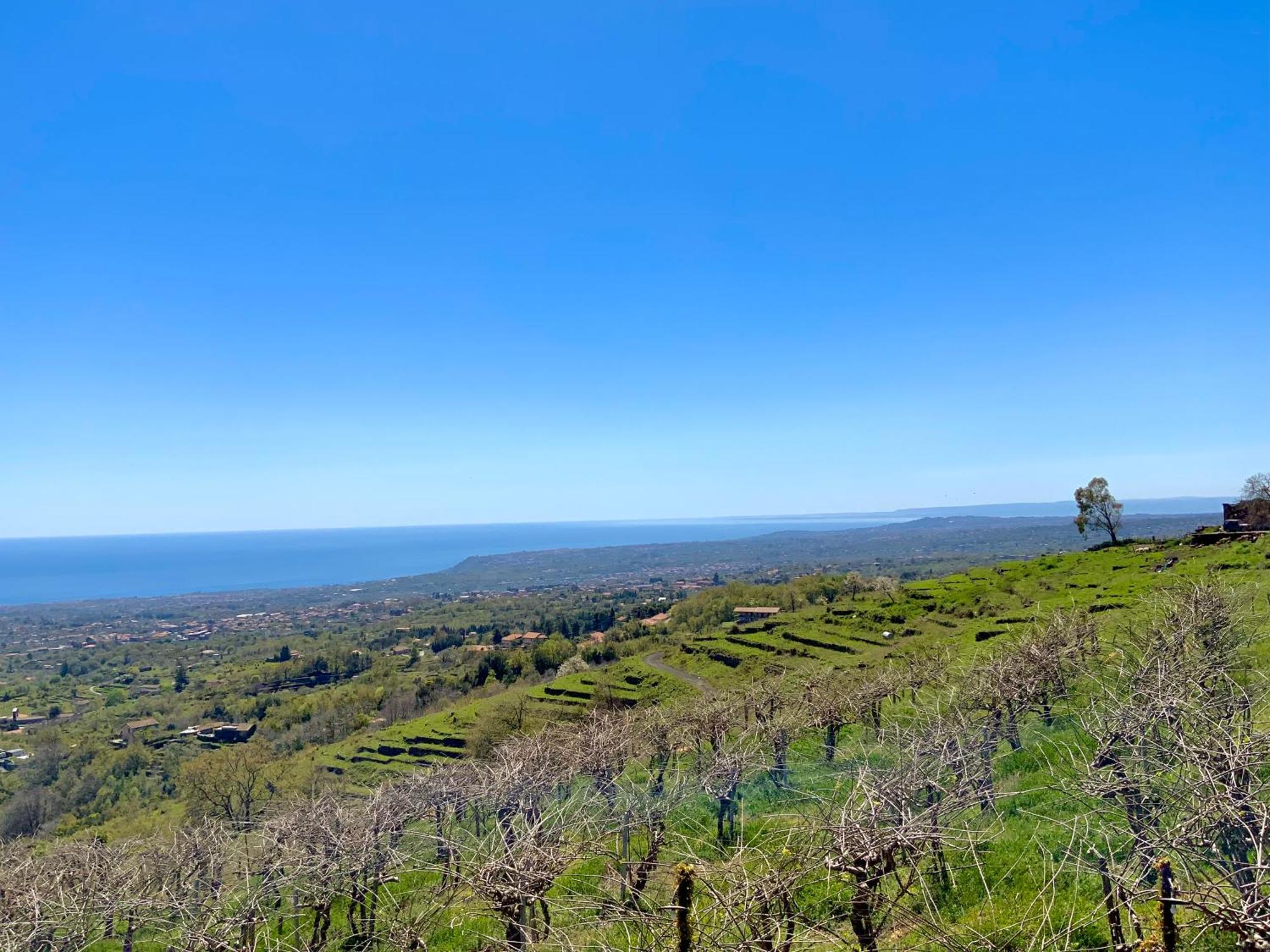 Holiday home Tenuta Kiwi Dell'etna *