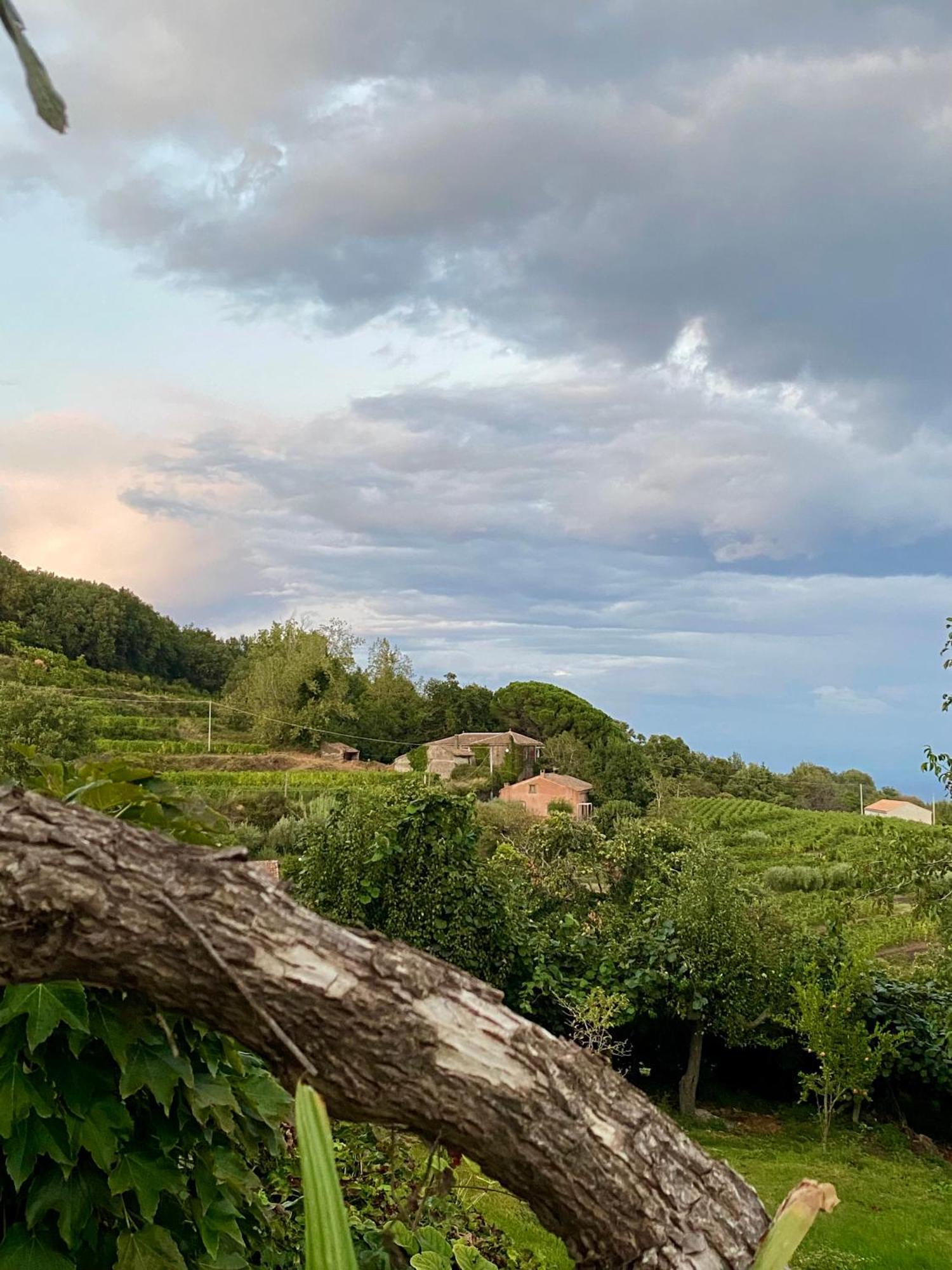 Ferienhaus Tenuta Kiwi Dell'etna