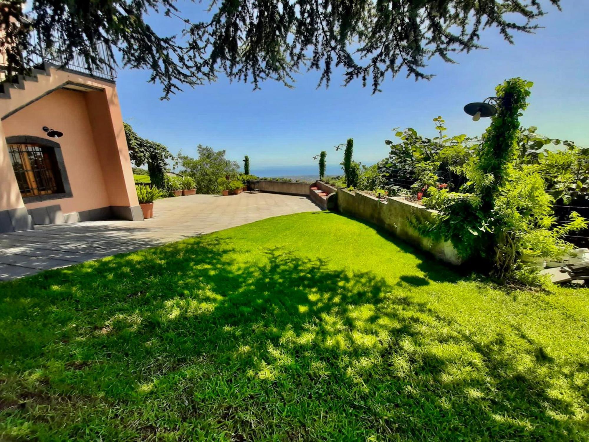 Tenuta Kiwi Dell'etna Milo